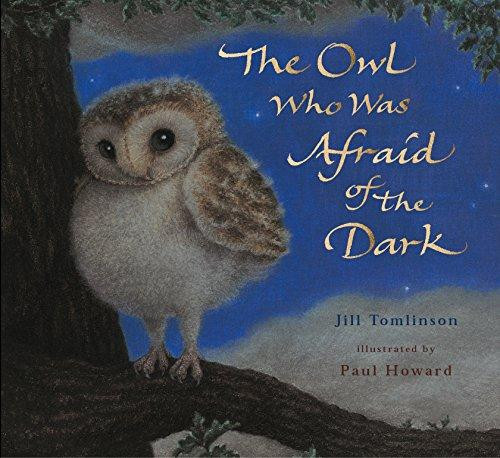 The Owl Who Was Afraid Of The Dark