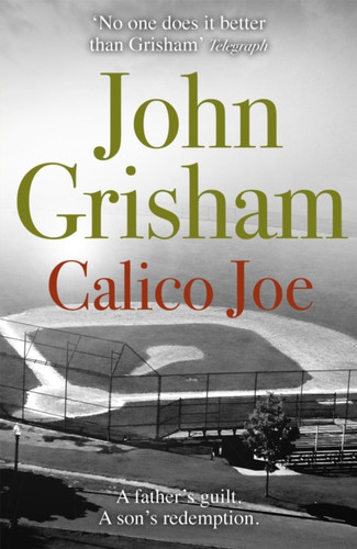 Calico Joe: The unforgettable family drama from the number 1 Sunday Times bestselling author