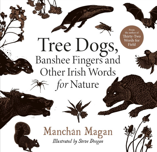 Tree Dogs, Banshee Fingers And Other Irish Words For Nature