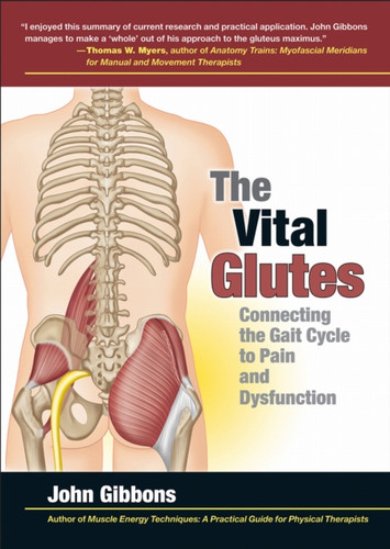 The Vital Glutes: Connecting the Gait Cycle to Pain and Dysfunction