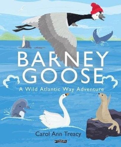 Barney Goose: A Wild Atlantic Way Adventure