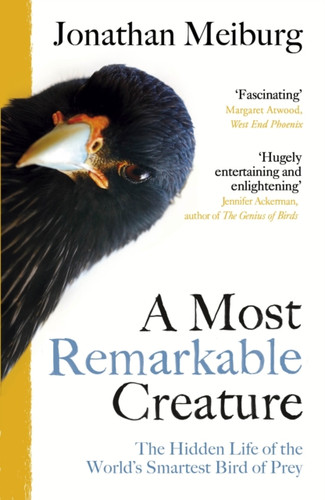 A Most Remarkable Creature: The Hidden Life Of The World'S Smartest Bird Of Prey