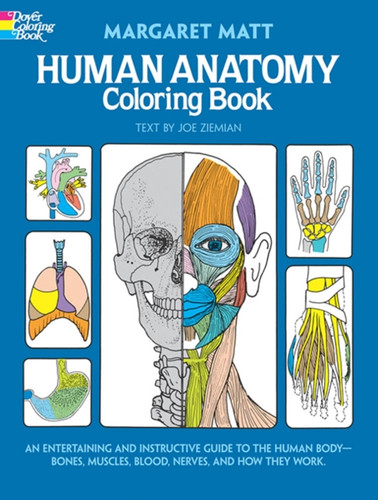 Human Anatomy: Coloring Book