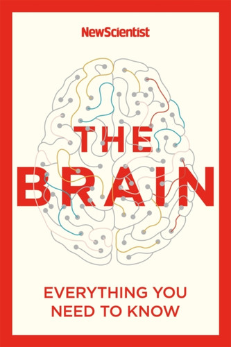 The Brain: Everything You Need to Know