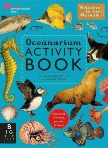 Oceanarium Activity Oceanarium Activity