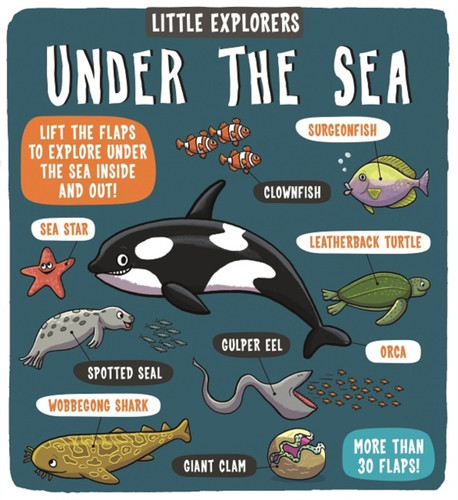Little Explorers: Under the Sea