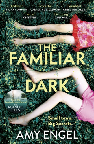 The Familiar Dark: The must-read, utterly gripping thriller you won't be able to put down