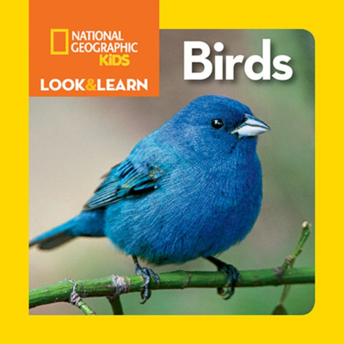 Look And Learn: Birds