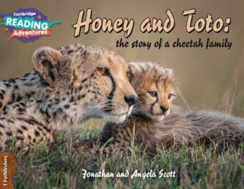 Cambridge Reading Adventures Honey And Toto: The Story Of A Cheetah Family 1 Pathfinders