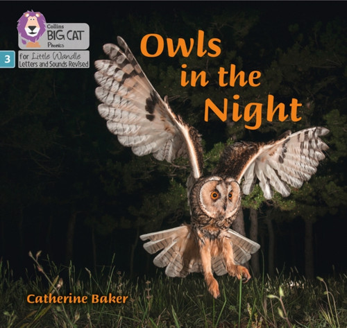 Owls In The Night: Phase 3 Owls In The Night: Phase 3