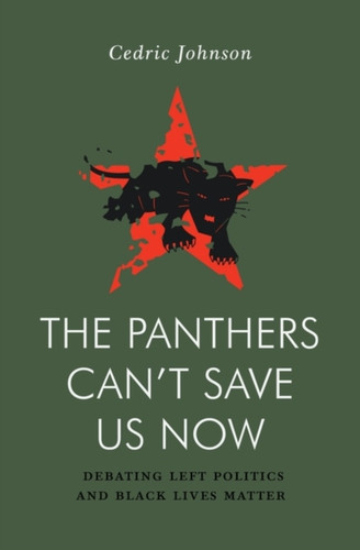 The Panthers Can'T Save Us Now: Debating Left Politics And Black Lives Matter