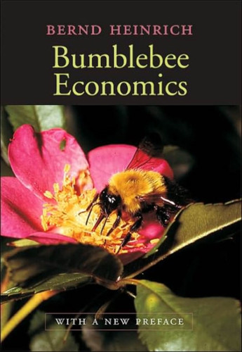 Bumblebee Economics: With a New Preface
