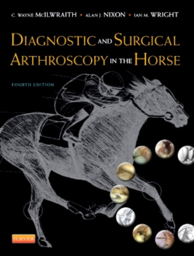 Diagnostic And Surgical Arthroscopy In The Horse