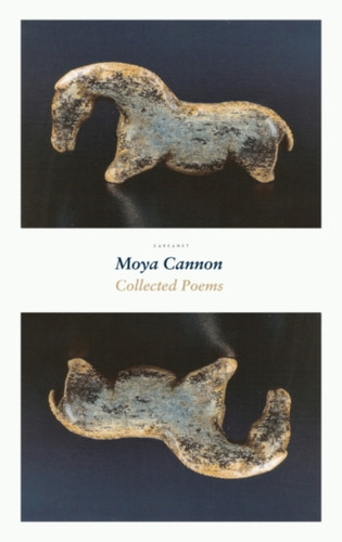 Collected Poems - 9781800170322