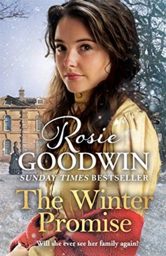 The Winter Promise: A Perfect Cosy Victorian Saga From The Sunday Times Bestselling Author - 9781838772215