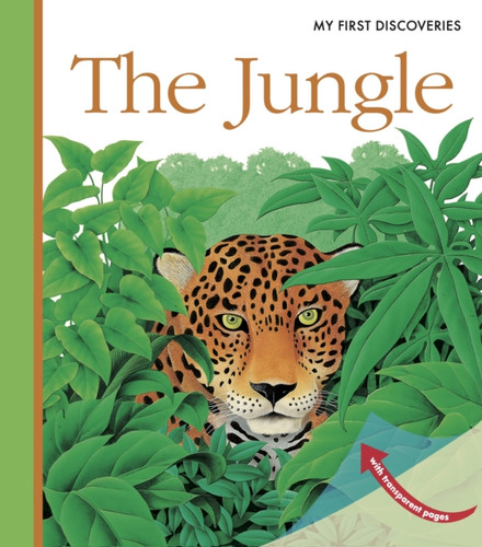 The Jungle - 9781851033997