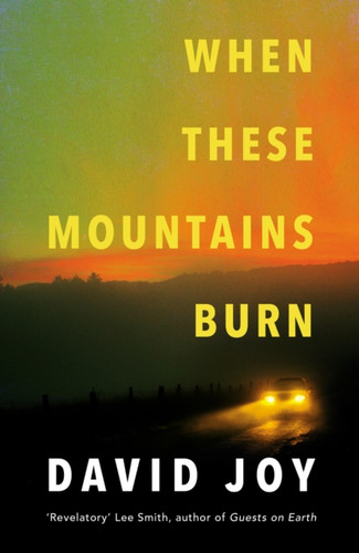 When These Mountains Burn: The literary crime thriller from the prizewinning master of American noir fiction