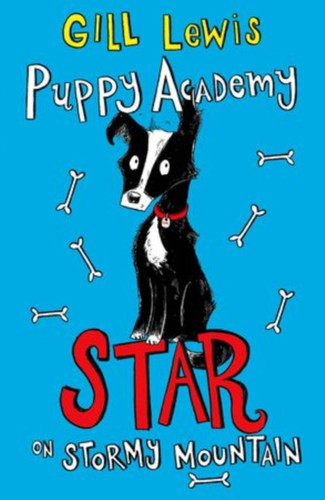 Puppy Academy: Star On Stormy Mountain