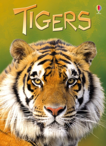 Tigers - 9781409530671