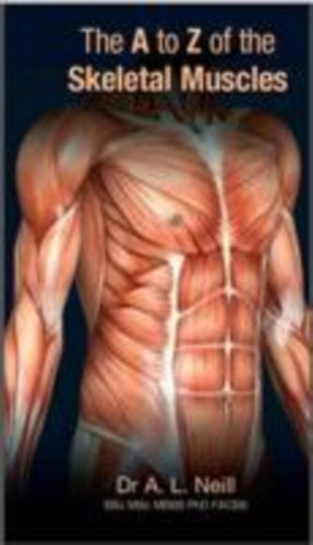 The A To Z Of Skeletal Muscles