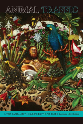Animal Traffic: Lively Capital In The Global Exotic Pet Trade