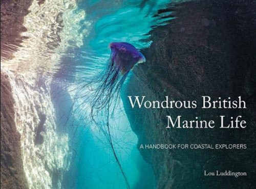 Wondrous British Marine Life: A Handbook For Coastal Explorers