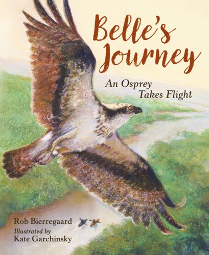 Belle'S Journey
