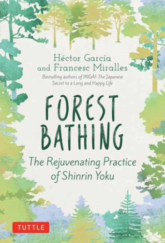 Forest Bathing: The Rejuvenating Practice Of Shinrin Yoku