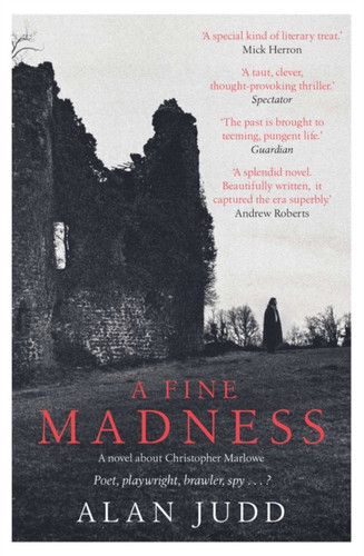 A Fine Madness: Sunday Times 'Historical Fiction Book Of The Month' - 9781471180248