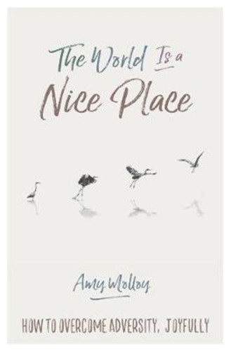 The World Is A Nice Place: How To Overcome Adversity, Joyfully