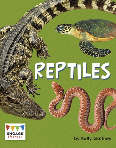 Reptiles - 9781474799577