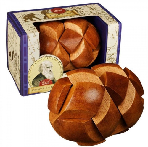 Darwin'S Egg Of Evolution Puzzle