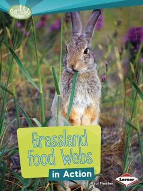 Grassland Food Webs In Action