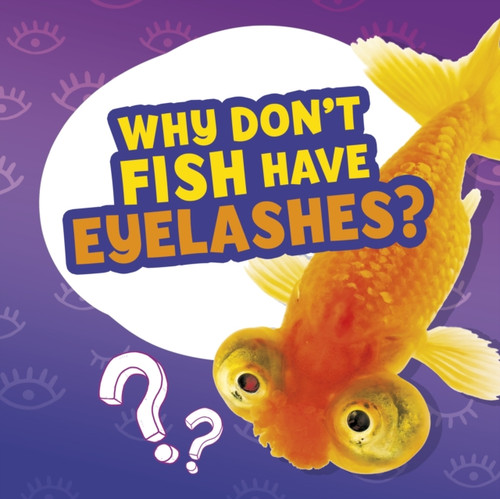 Why Don'T Fish Have Eyelashes?