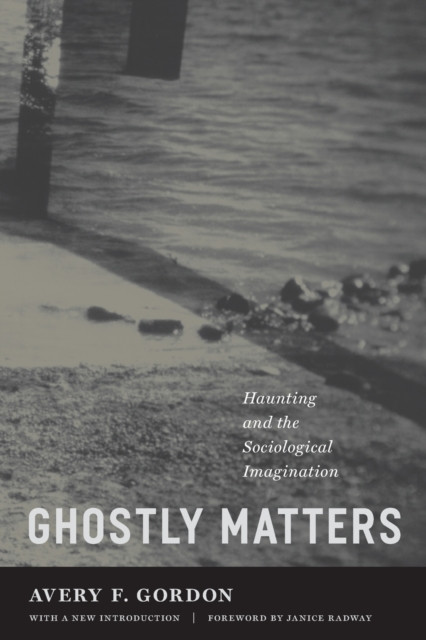 Ghostly Matters: Haunting And The Sociological Imagination