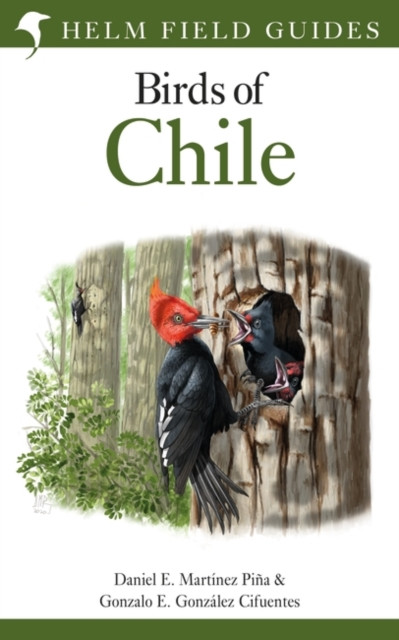 Field Guide To The Birds Of Chile - 9781472970008