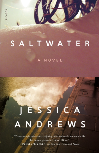 Saltwater: A Novel
