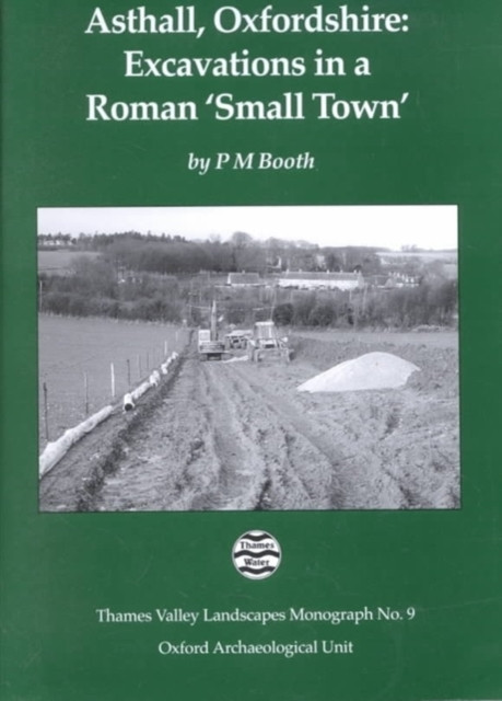Asthall, Oxfordshire: Excavations in a Roman `Small Town'