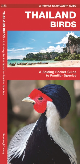 Thailand Birds : A Folding Pocket Guide to Familiar Species