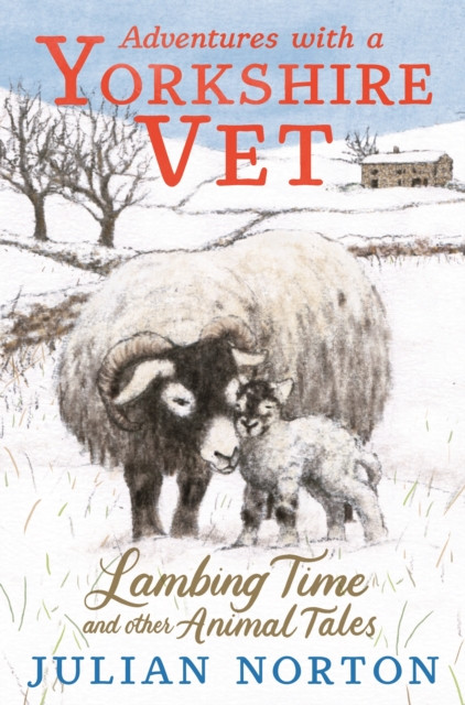 Adventures with a Yorkshire Vet: Lambing Time and Other Animal Tales: Charming animal adventures for 8–11 readers