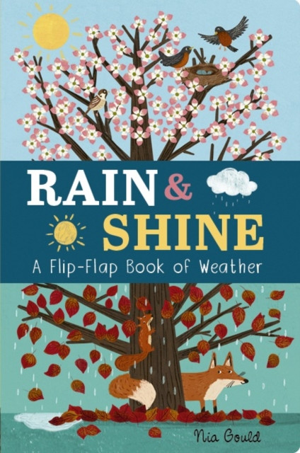 Rain & Shine: A Flip-Flap Book of Weather: A Flip-Flap Book of Weather