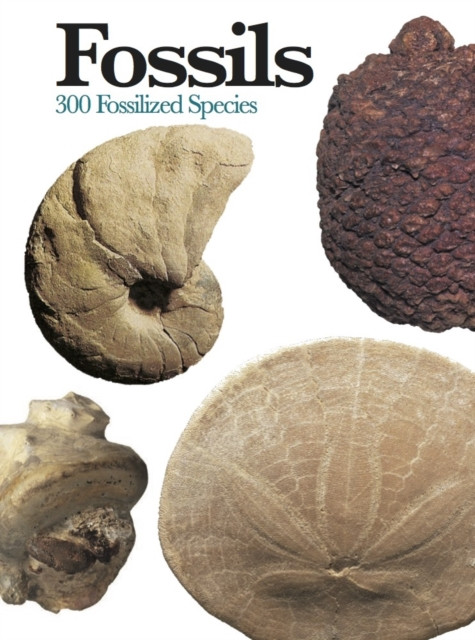 Fossils: 300 of the Earth's Fossilized Species