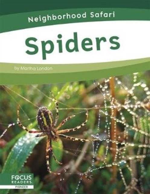 Neighborhood Safari: Spiders