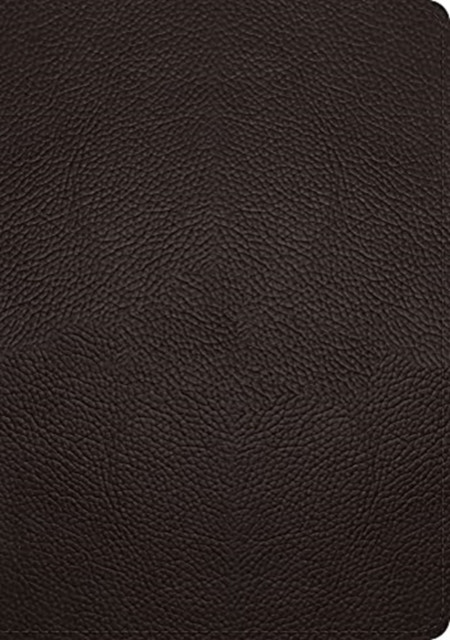 ESV Study Bible