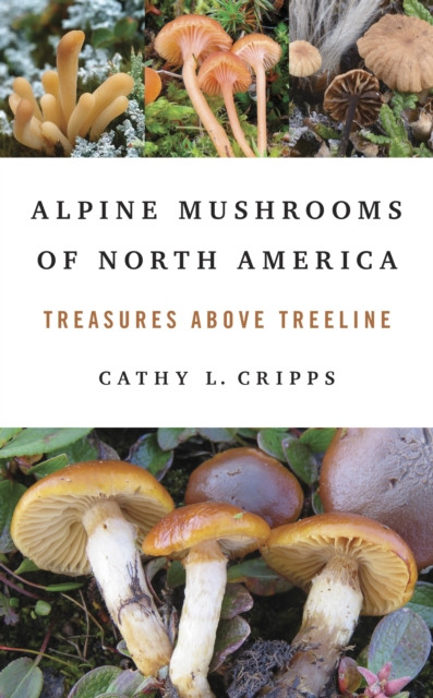 Alpine Mushrooms of North America: Treasures Above Treeline