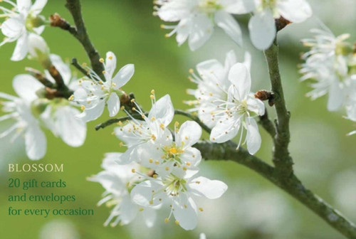 Blossom: An Attractive Pack of High-Quality Flower Gift Cards and Decorative Envelopes