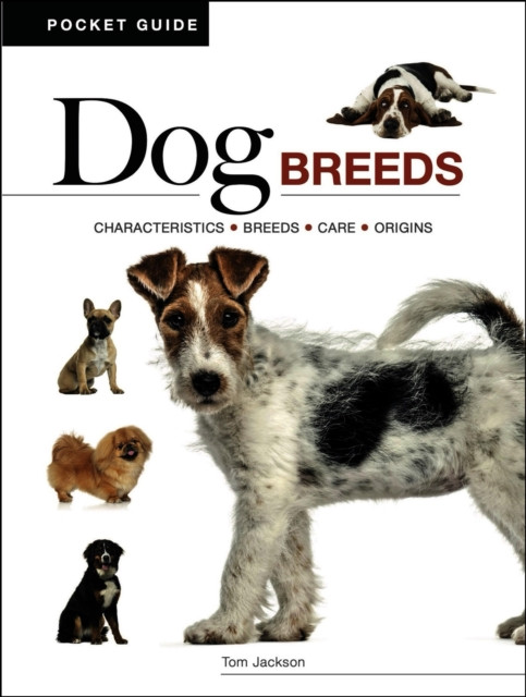 Dog Breeds: Characteristics * Breeds * Care * Origins