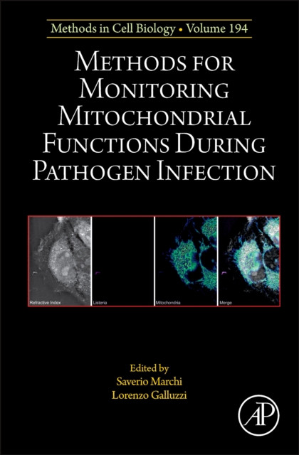 Methods for Monitoring Mitochondrial Functions During Pathogen Infection