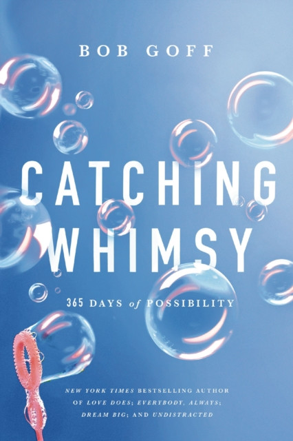 Catching Whimsy: 365 Days of Possibility (A Daily Devotional) – The Perfect Christian New Year's Resolution Gift