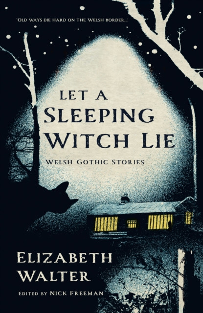 Let a Sleeping Witch Lie: Welsh Gothic Stories by Elizabeth Walter